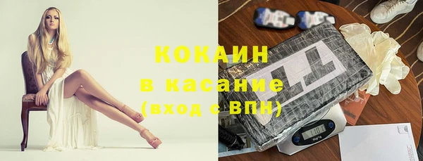 твердый Алексин
