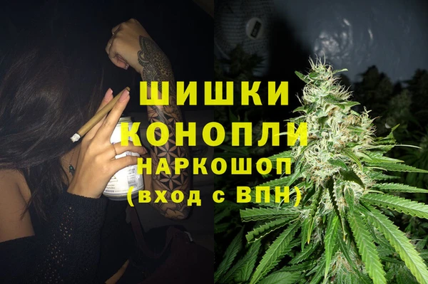 твердый Алексин