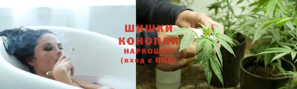 тгк Новокубанск