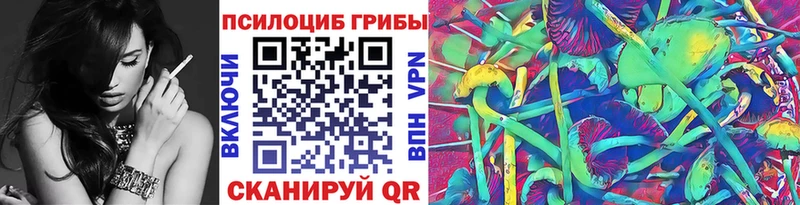 Псилоцибиновые грибы мицелий  хочу наркоту  mega tor  shop наркотические препараты  Берёзовский 
